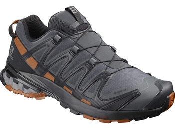 Zapatillas Salomon XA PRO 3D V8 GTX Gris