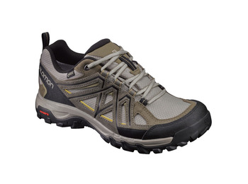 Zapato Salomon Evasion 2 GTX Arena