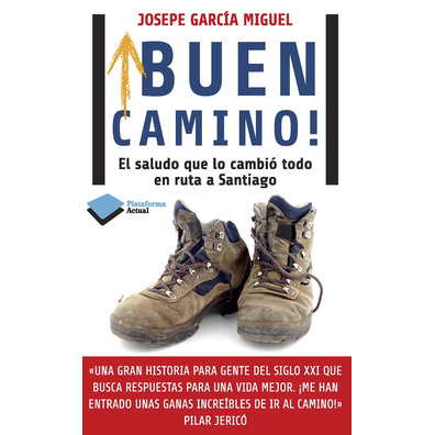 Buen Camino - Josepe García Miguel