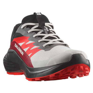 Zapatilla Salomon Alphaglide GTX Gris/Rojo/Negro