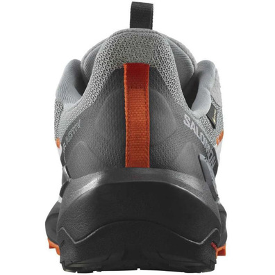 Zapatilla Salomon Elixir Activ GTX Gris/Negro