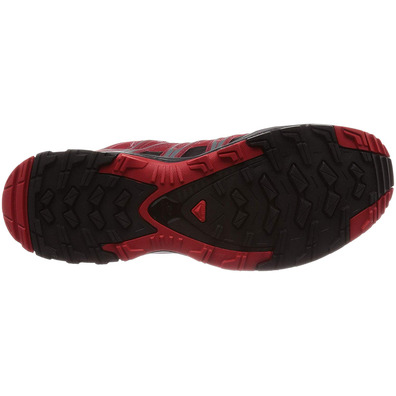 Zapatillas Salomon XA PRO 3D GTX Rojo oscuro/Negro