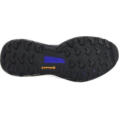 Zapatillas Adidas Terrex Skychaser 2 GTX Marino