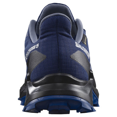 Zapatillas Salomon Alphacross 5 GTX Azul