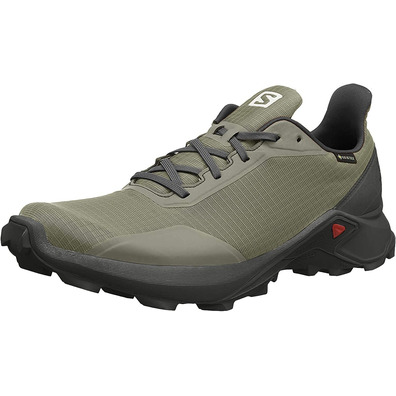 Zapatillas Salomon Alphacross GTX Gris/Kaki