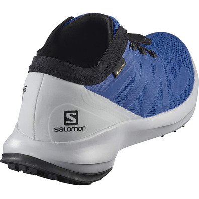 Zapatillas Salomon Sense Flow GTX Azul