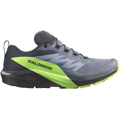 Zapatillas Salomon Sense Ride 5 GTX Gris/Verde/Negro