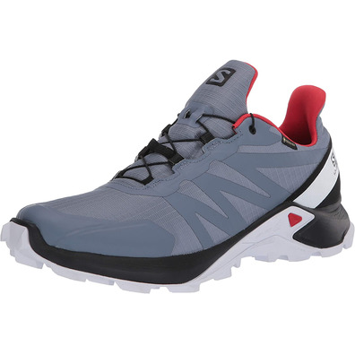 Zapatillas Salomon Supercross GTX Gris