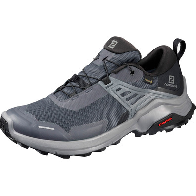 Zapatillas Salomon X Raise GTX W Gris