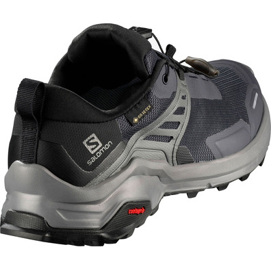 Zapatillas Salomon X Raise GTX W Gris