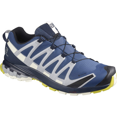 Zapatillas Salomon XA PRO 3D V8 GTX Azul