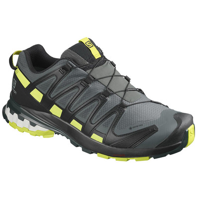 Zapatillas Salomon XA PRO 3D V8 GTX Gris/Lima