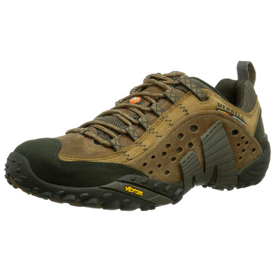 Zapatillas Merrell Intercept Marrón