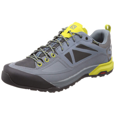 Zapatillas Salomon X Alp Spry GTX Gris/Mostaza