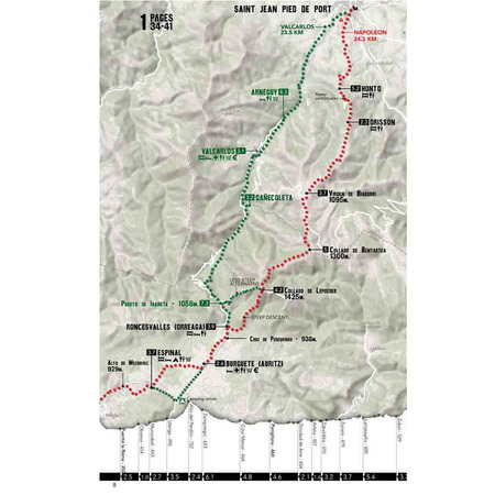 The Camino Francés-A wise Pilgrim guide to the Camino