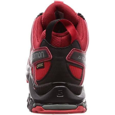 Zapatillas Salomon XA PRO 3D GTX Rojo oscuro/Negro