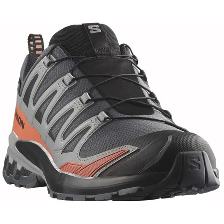 Zapatilla Salomon XA PRO 3D V9 GTX Gris/Teja