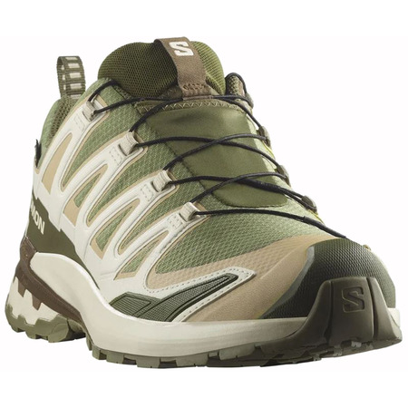 Zapatilla Salomon XA PRO 3D V9 GTX Verde/Beige