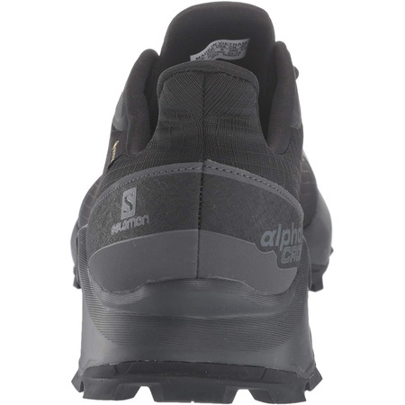 Zapatillas Salomon Alphacross GTX Negro