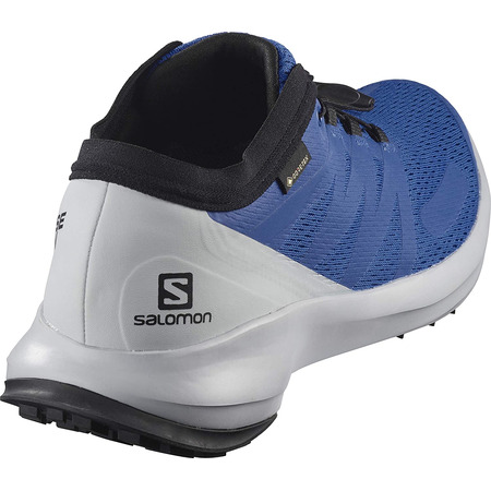 Zapatillas Salomon Sense Flow GTX Azul