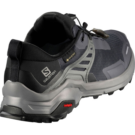 Zapatillas Salomon X Raise GTX W Gris