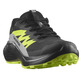 Zapatilla Salomon Alphaglide GTX Negro/Verde Lima