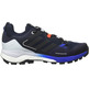 Zapatillas Adidas Terrex Skychaser 2 GTX Marino