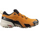 Zapatillas Salomon Cross Hike GTX Oro