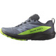 Zapatillas Salomon Sense Ride 5 GTX Gris/Verde/Negro