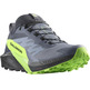 Zapatillas Salomon Sense Ride 5 GTX Gris/Verde/Negro