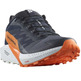 Zapatillas Salomon Sense Ride 5 GTX Marino/Naranja