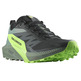 Zapatillas Salomon Sense Ride 5 Negro/Verde