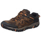 Zapato Merrell All Out Blaze Vent GTX Marrón