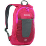 Mochila Regatta Bedabase 15 Litros Rosa fucsia 